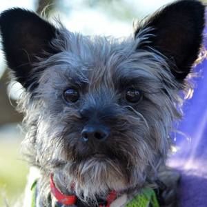 Meet your Posher, Michele